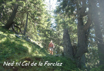 På vej ned til Col de La Forclaz
