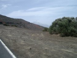 El Teide i baggrunden